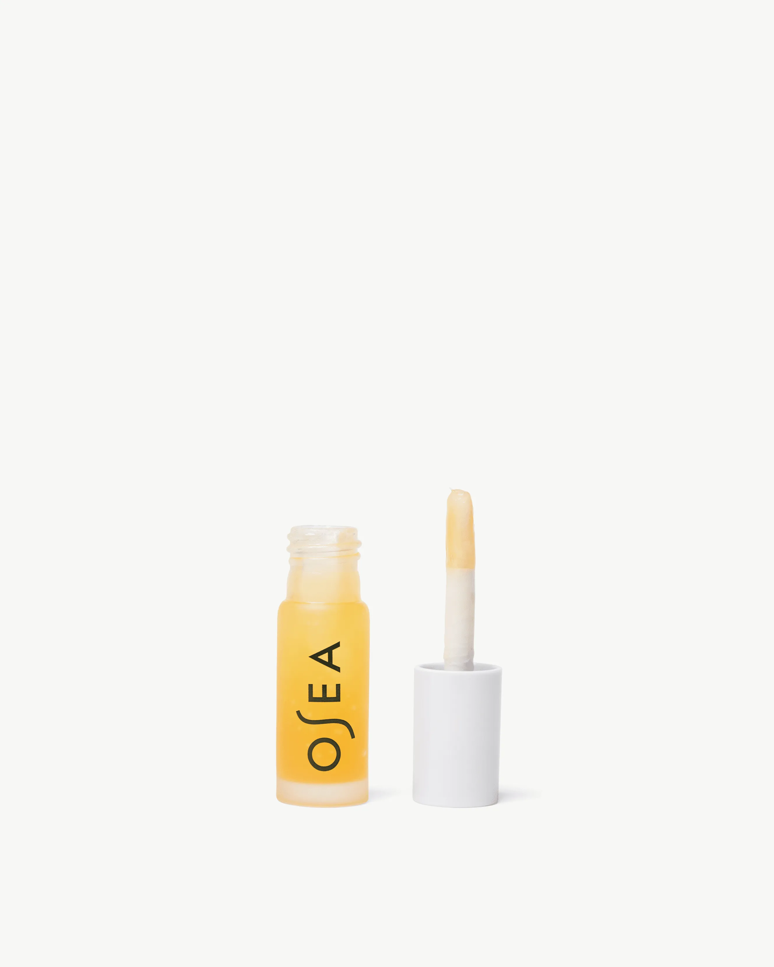 Hyaluronic Acid Lip Booster