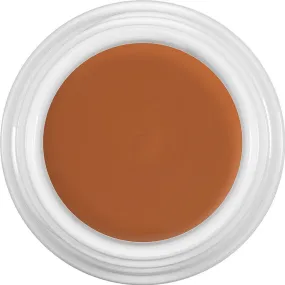 Kryolan Dermacolor Camouflage Cream 30g D13