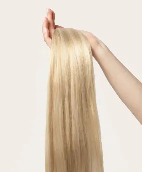 Light Blonde Highlighted, 20" Classic Clip-In Hair Extensions, F60/24 | 220g