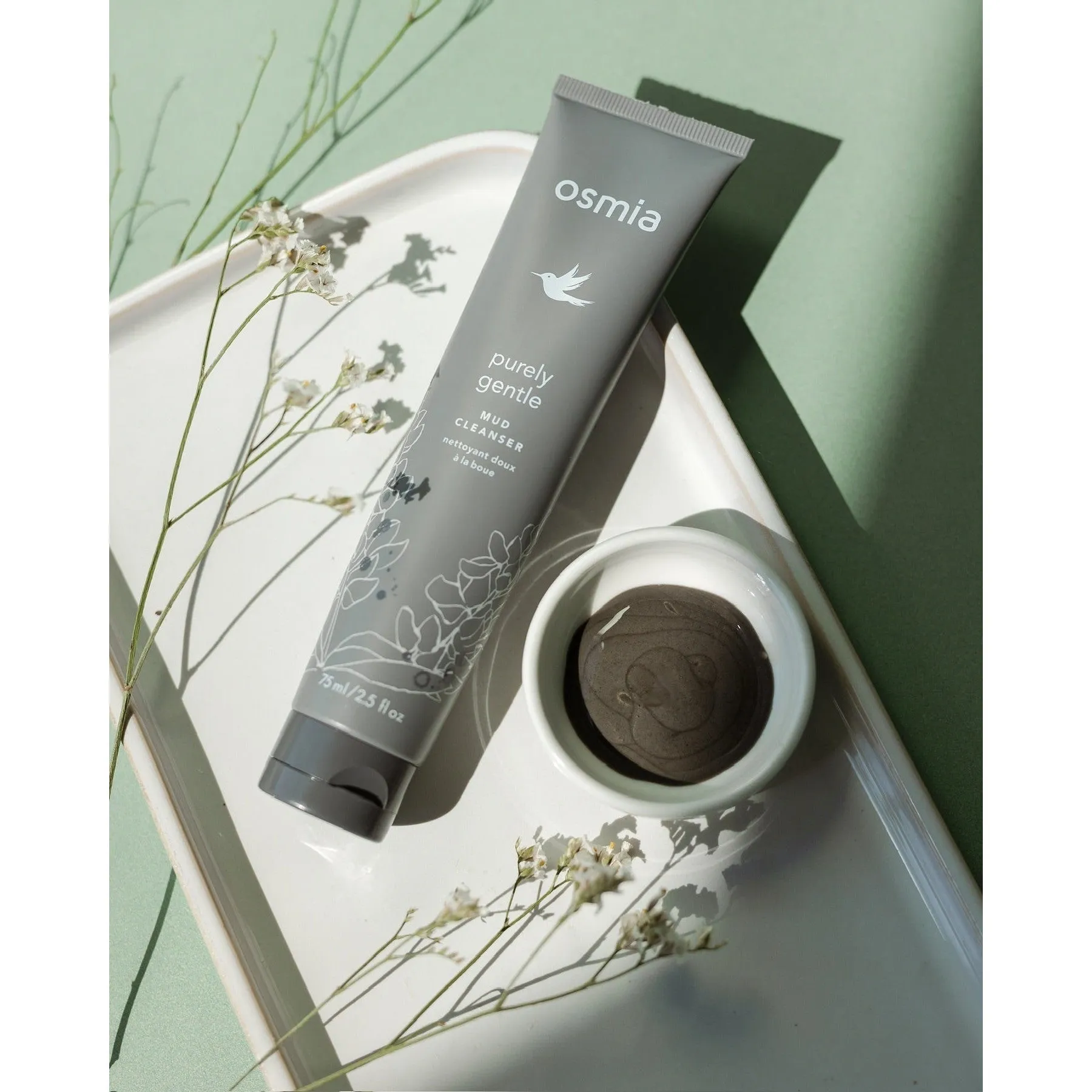 Purely Gentle Mud Cleanser.