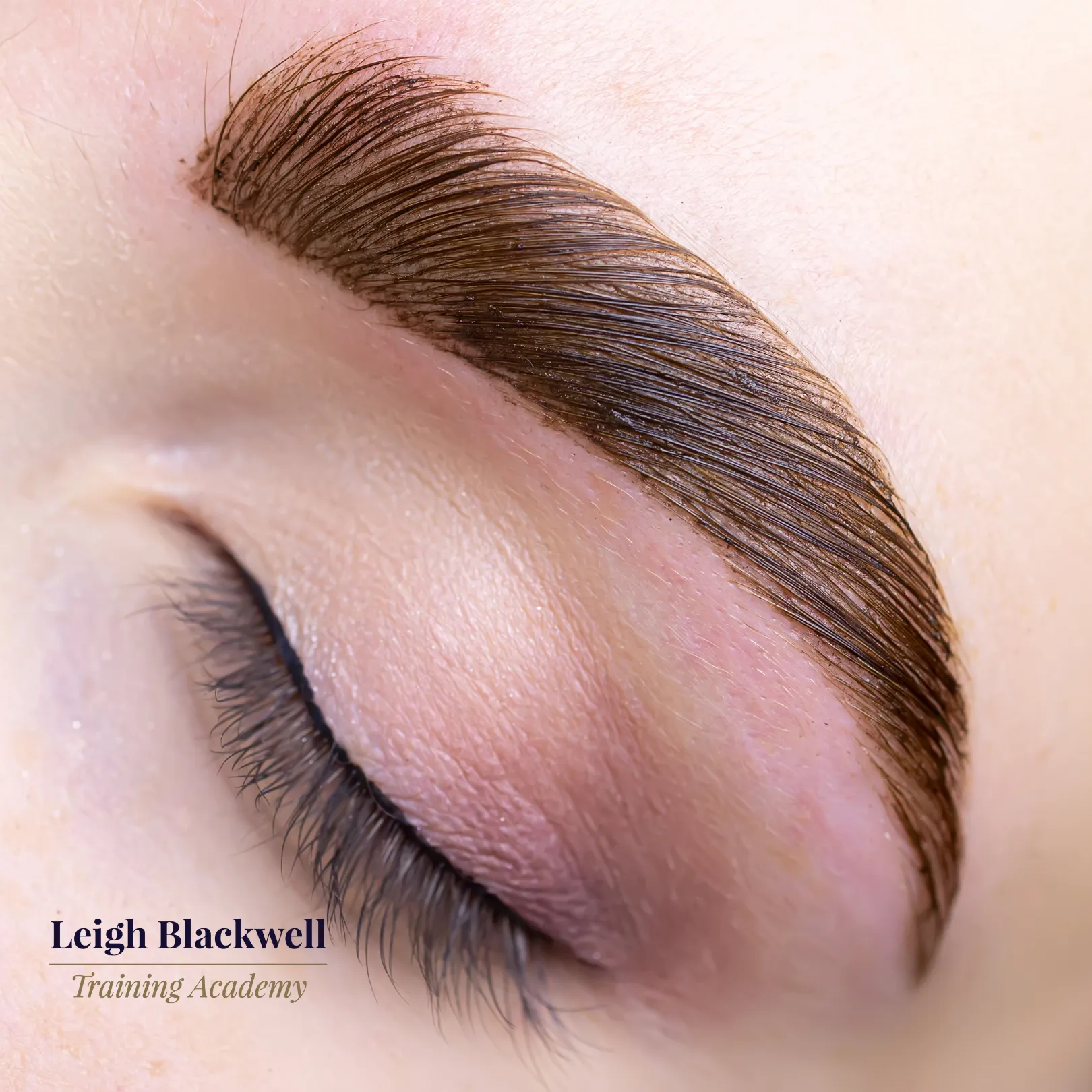 TINTED Liquid Stain Eyebrow Course